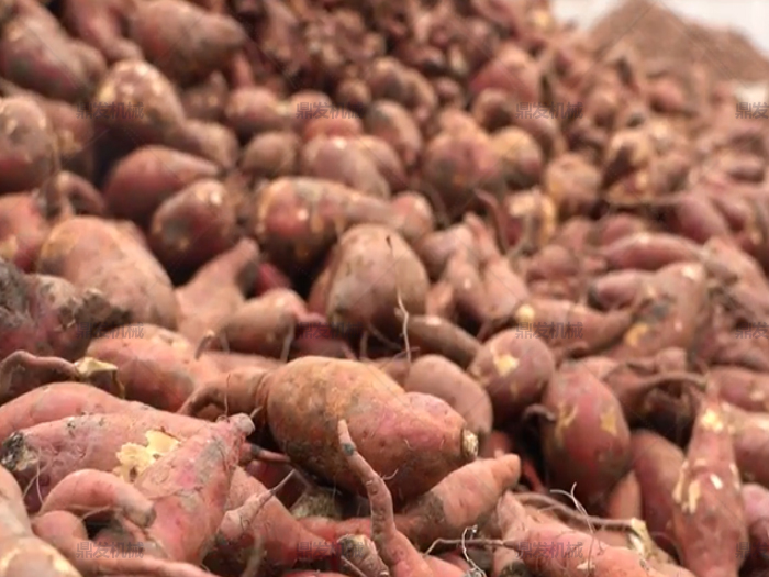 1680861043212503.jpg hs.jpg